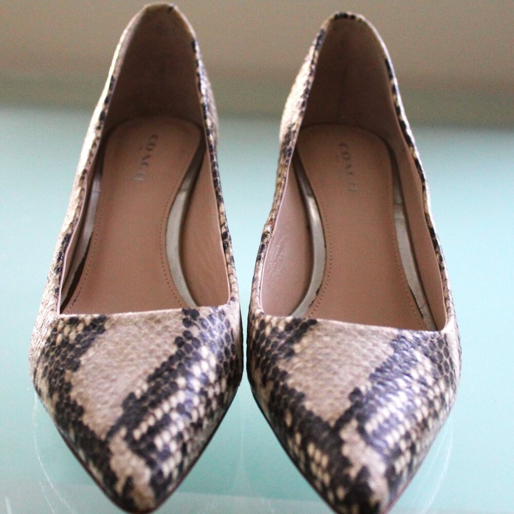 Coach Women's Shoes Printed Snake - Picture 5 of 5